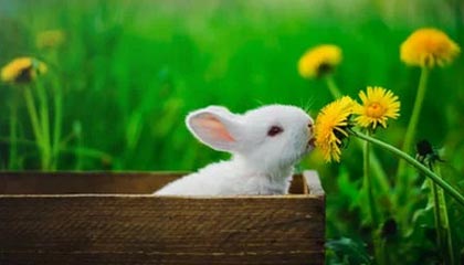 东亚杯精彩瞬间 U23国足冲击成焦点，u23亚洲杯东亚大区