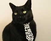 波兰队未来发展规划：如何打造乒乓强国的崛起之路，波兰乒乓球联赛