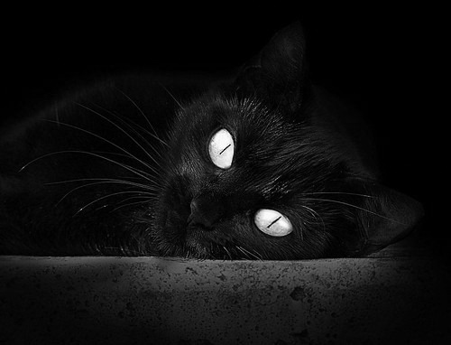 赛事组织者培训班增加危机管理课程，赛事组织机构