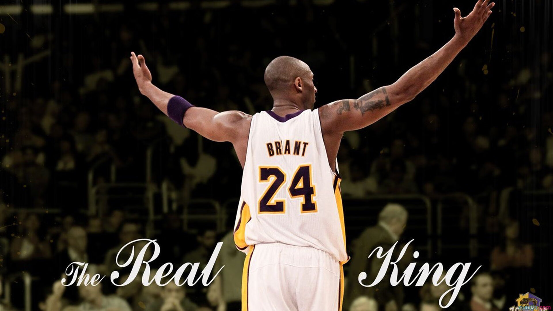 “马科斯·莫奇的战术安排与防守反应,成就美洲狮队的防守核心”